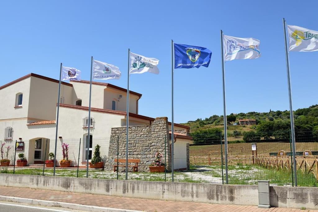 La Conchiglia Di Trentova Apartment Agropoli Ngoại thất bức ảnh